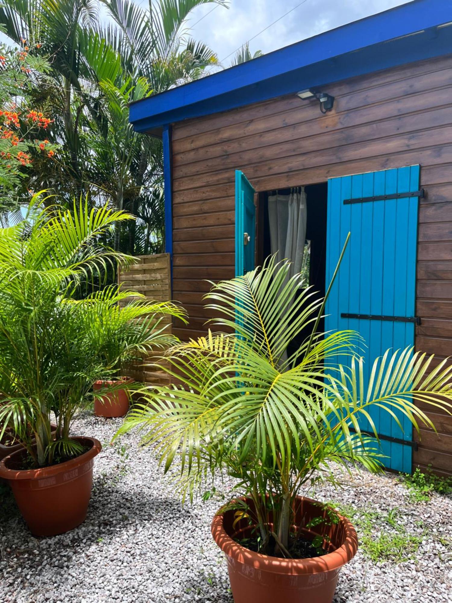Bungalow Avec Vue Dans Lieu Calme Le Carbet Exterior foto